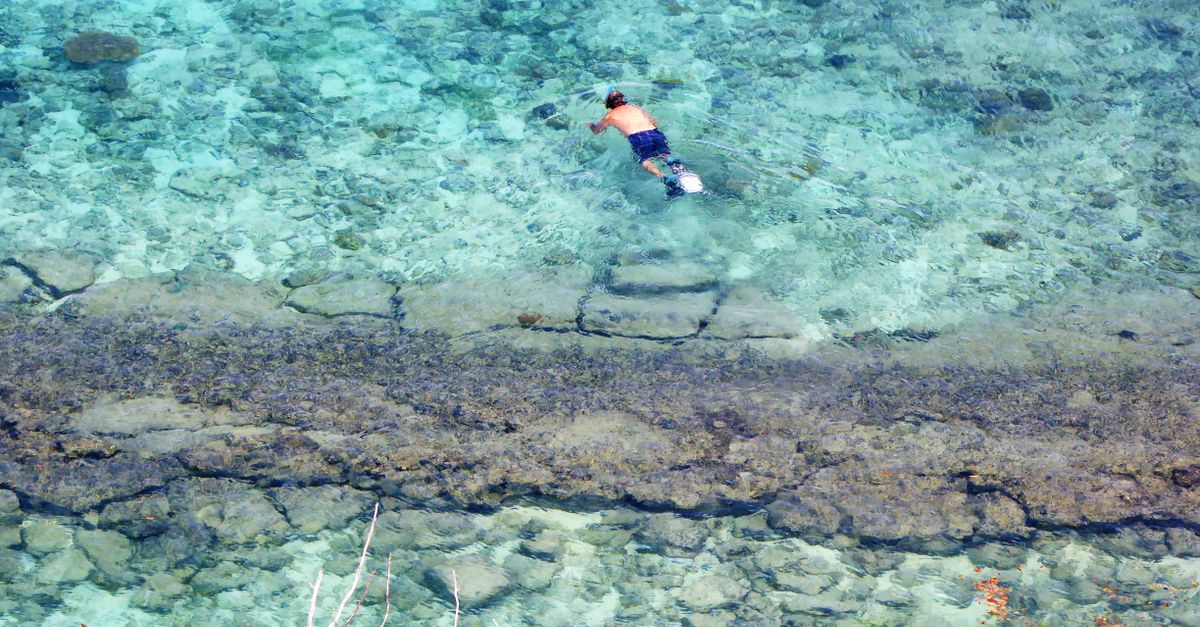 Clear Galapagos water for a snorkeling day.