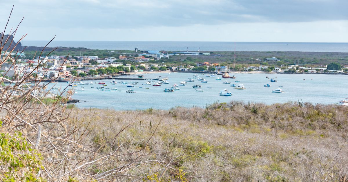 A Galapagos harbor town with boats and blue water.