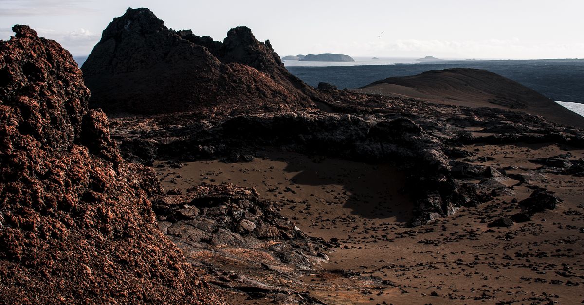 The Perfect 10-Day Galapagos Itinerary: Complete First-Trip Guide